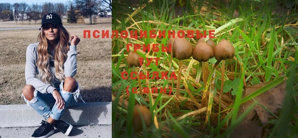 спиды Заводоуковск
