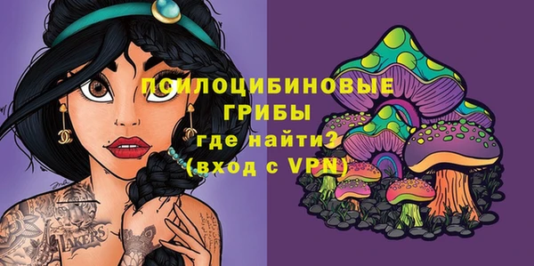 спиды Заводоуковск
