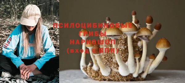 спиды Заводоуковск